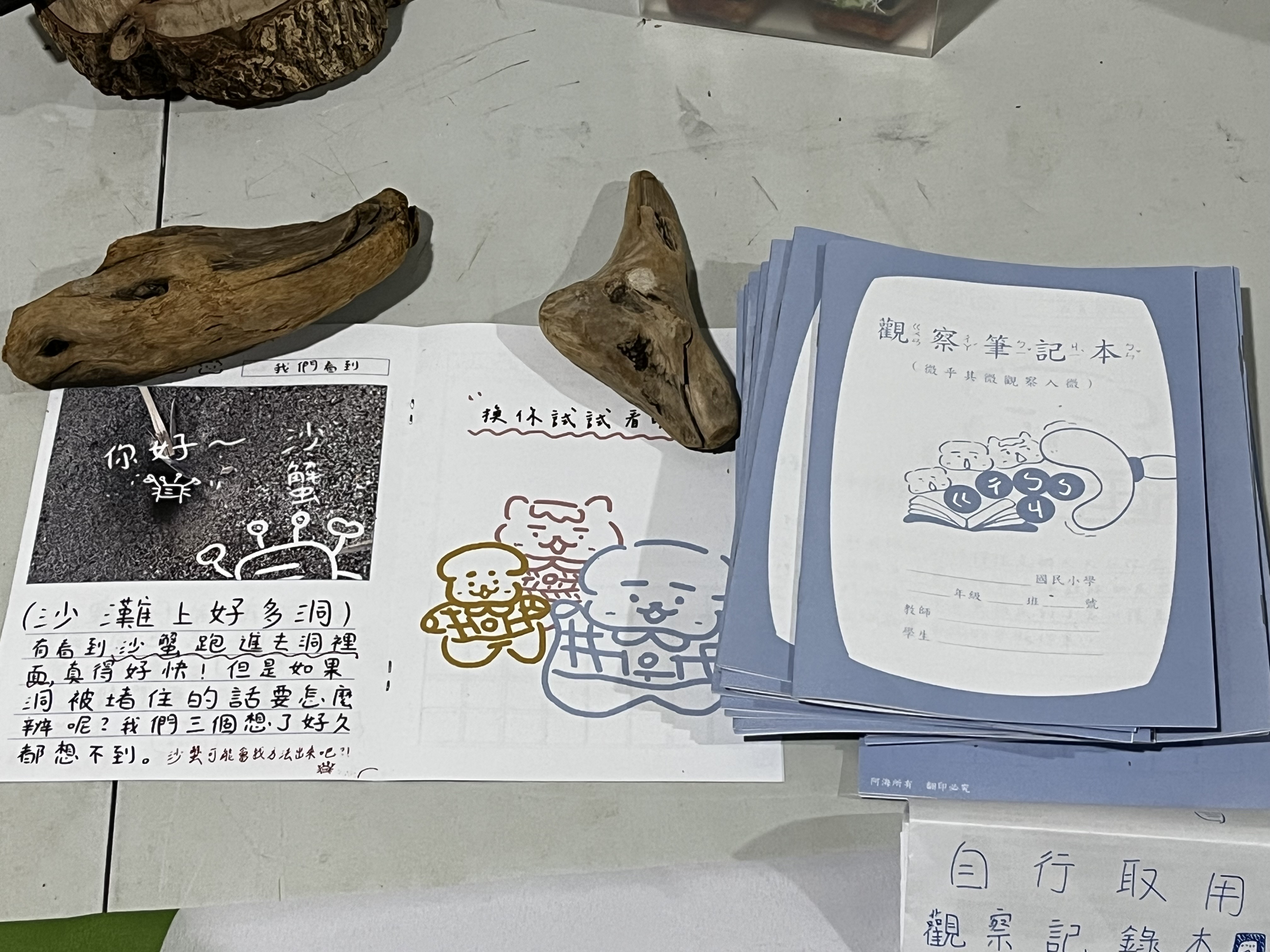 海岸觀察學生筆記