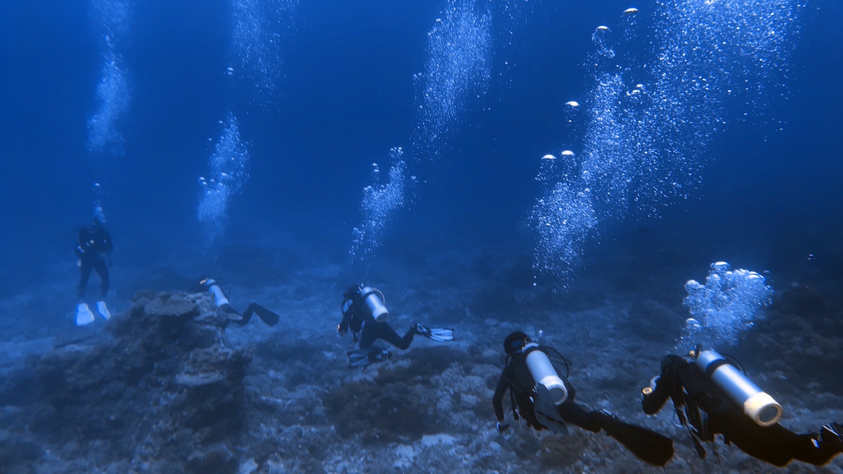 LINE_ALBUM_20250525綠島潛水_250602_74